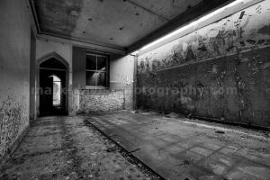 blue light bw sm.jpg